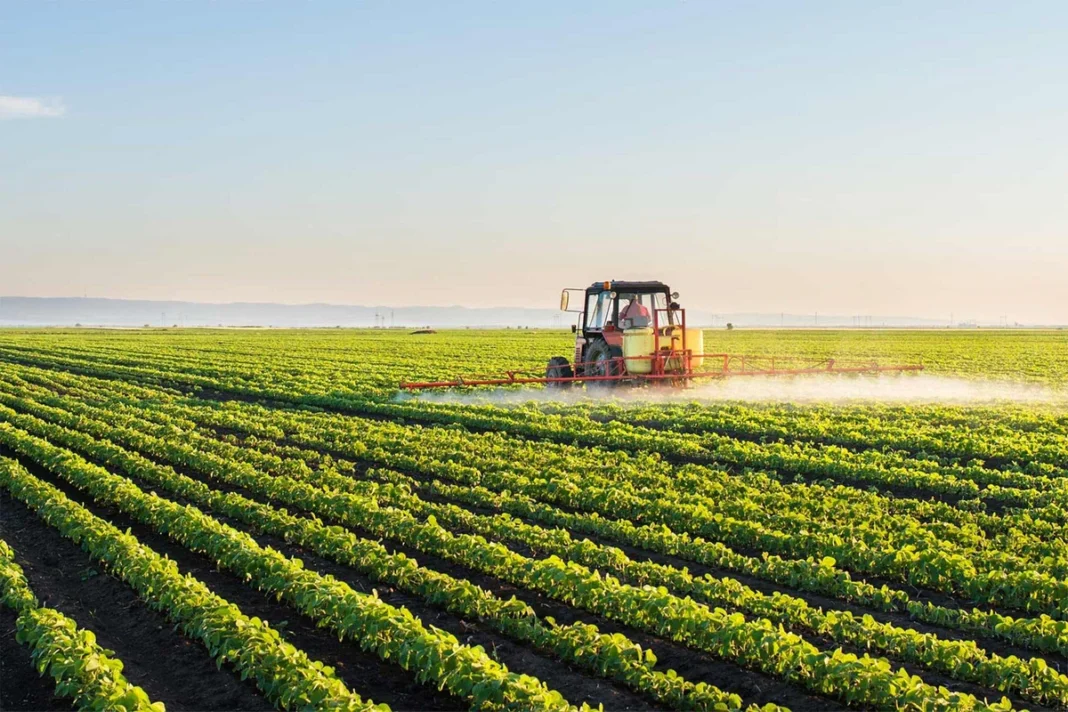 A combine harvester working during the harvest in Azerbaijan