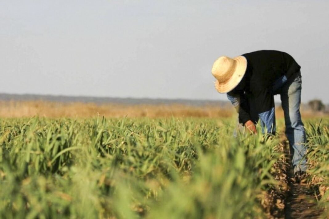 Azerbaijan parliamentary committee discusses a farm financing bill