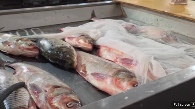 Fresh fish offered for sale at a market in Azerbaijan