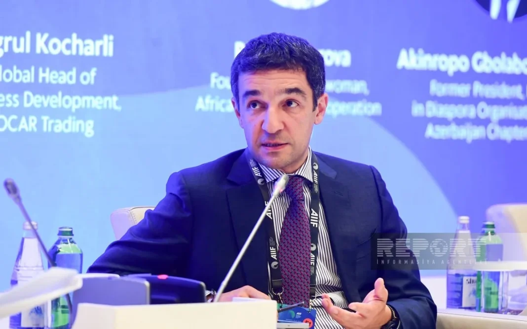 SOCAR international development department head Togrul Kocharli