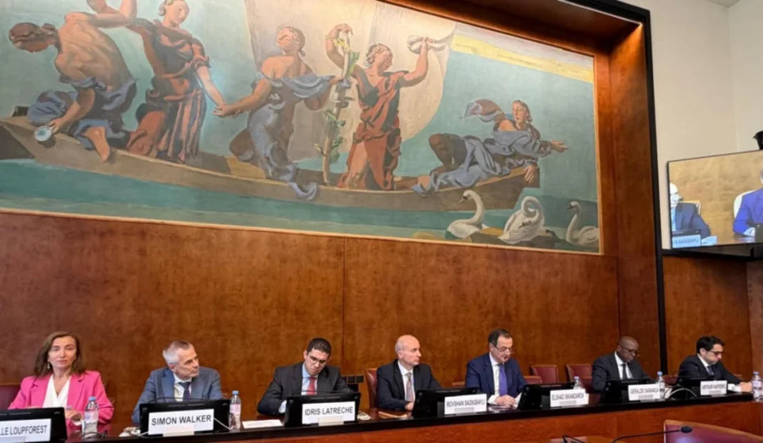 Azerbaijan-led discussion on the rights of landmine victims at the UN Human Rights Council