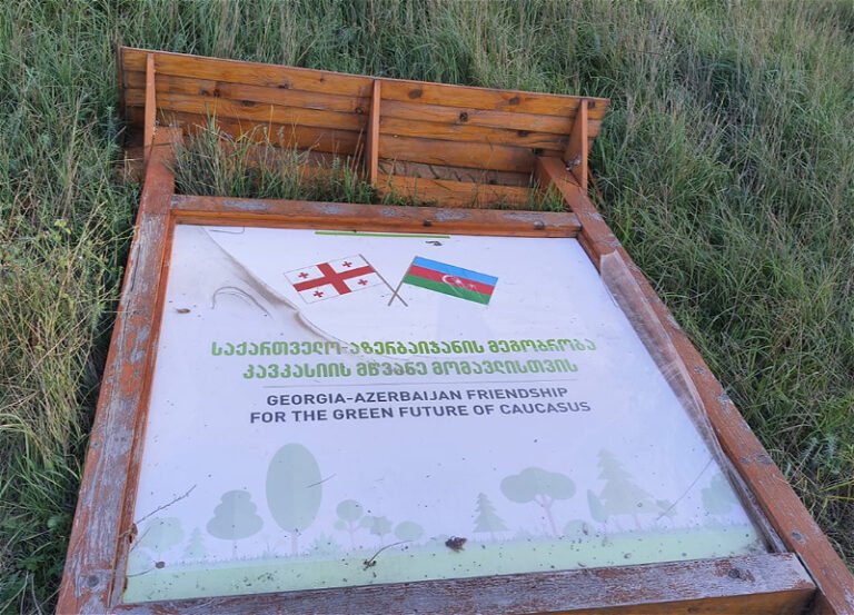 Damaged Azerbaijani flag display in Krtsanisi National Forest Park near Tbilisi