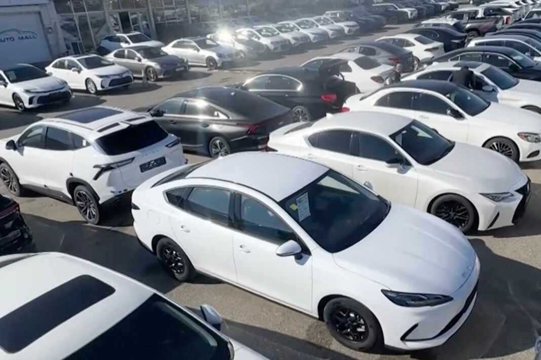 Cars displayed at an automobile market in Azerbaijan