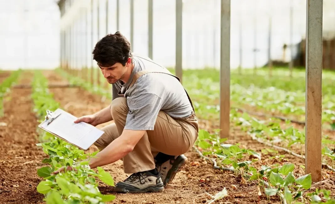 A specialist examines plants in a greenhouse. Illustrative photo.