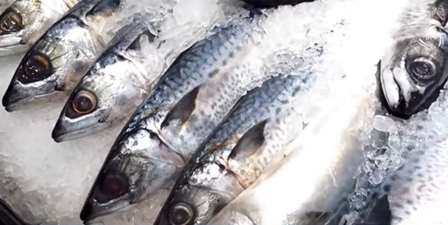 Mackerel displayed for sale at an Azerbaijani fish market