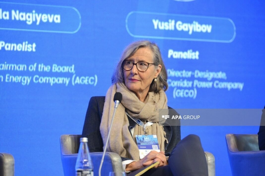 Kristina Haverkamp at the German-Azerbaijani connectivity conference in Baku