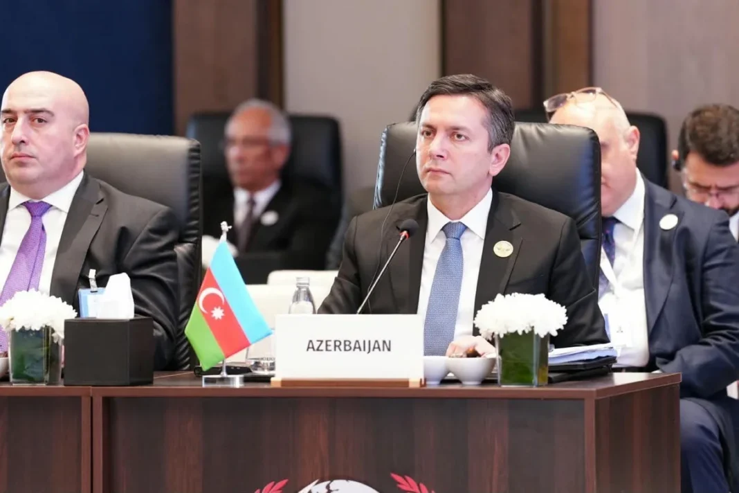 Azerbaijani delegation at the OIC foreign ministers meeting in Baghdad