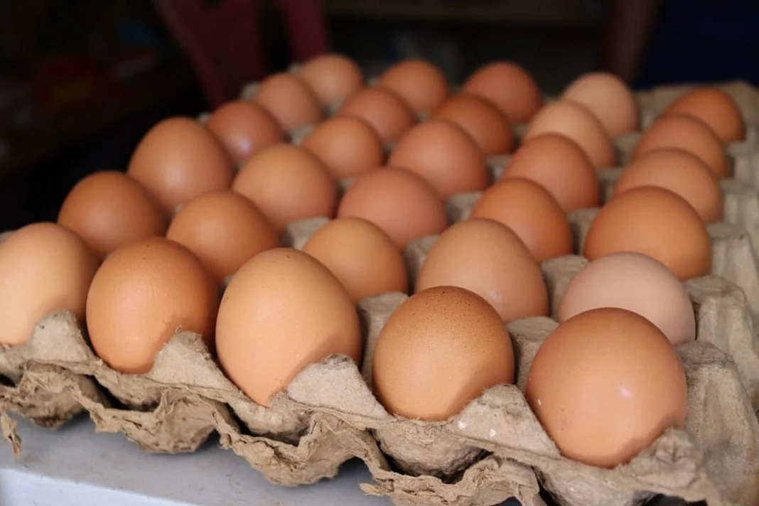 Village chickens and eggs offered for sale in an Azerbaijani market