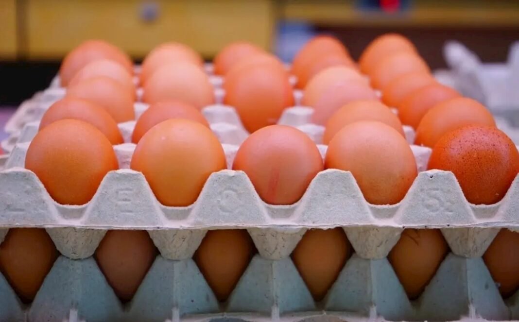 Brown eggs displayed in trays at an Azerbaijani market